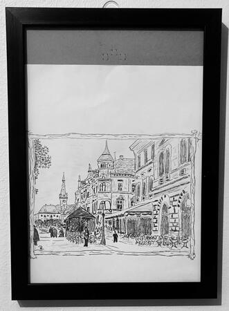 Main street, Brasov, Romania, 1900